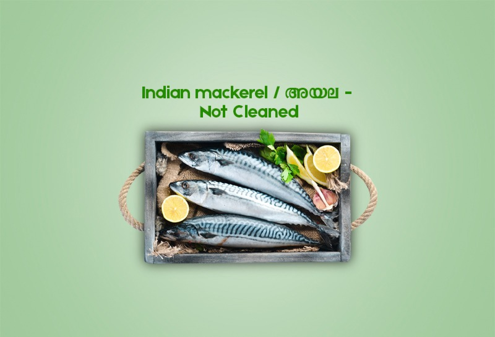 Indian mackerel / അയല (500gm) - Not Cleaned 